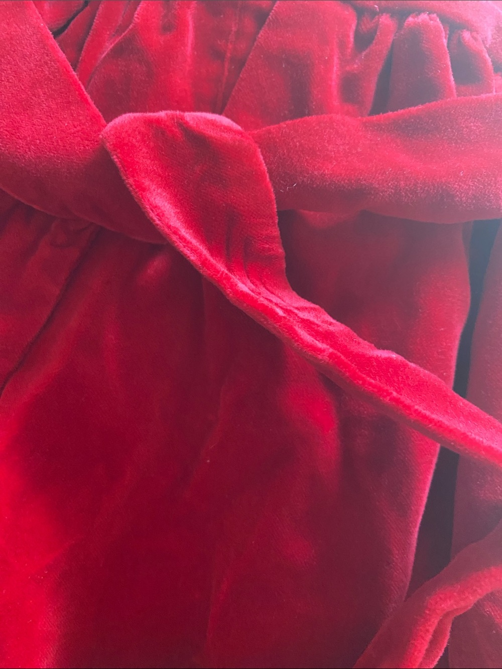 Edgehill Collection Red Velvet Dress with White Lace Collar - Picture 6 of 8